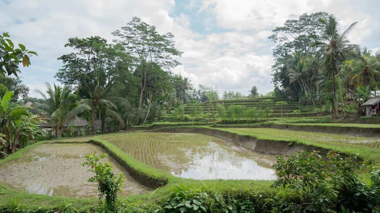 Hotel The Sebali Resort Ubud